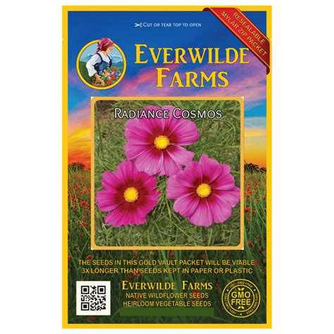 Everwilde Farms - 1000 Cosmic Purple Carrot Seeds - Gold Vault Jumbo Seed Packet. …. 