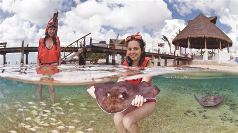 Everybody Loves Rays: Stingray Encounter Disney Cruise Line