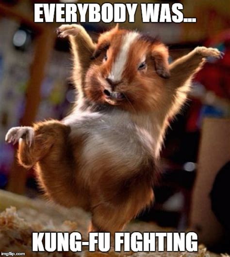 Everybody was kung fu fighting. Things To Know About Everybody was kung fu fighting. 