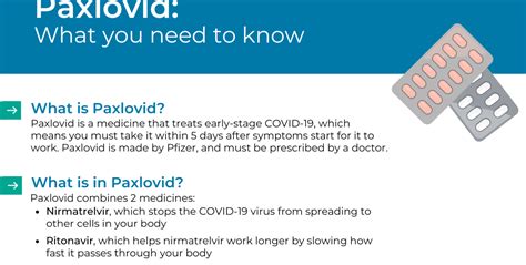 Everything You Need to Know About Paxlovid Essentials