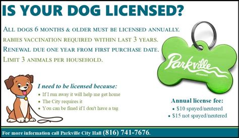 Everything You Need to Know About Pet License [Free Guide]