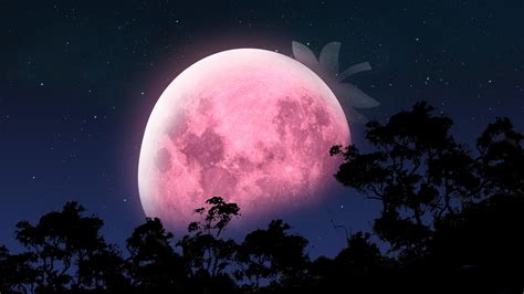 Everything you need to know about June's Strawberry Moon