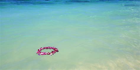 Everything you need to know about LEI