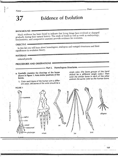 Evidence Of Evolution Worksheet Answers