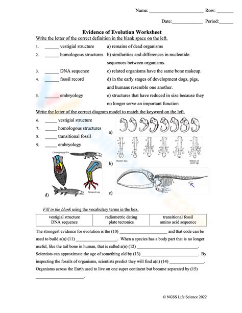 Evidence Of Evolution Worksheet Worksheet Template
