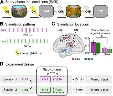 Evidence for Immediate Enhancement of Hippocampal …