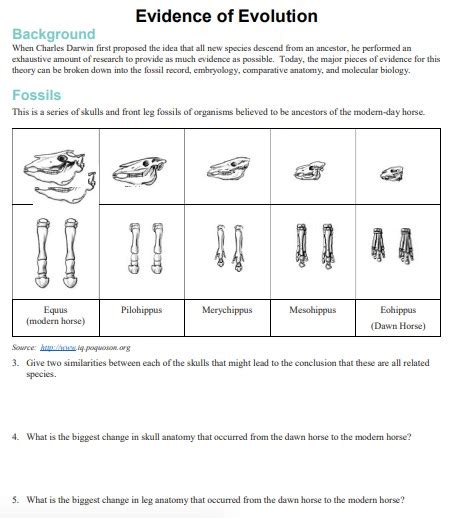 Evidence of Evolution Worksheet Edutechspot