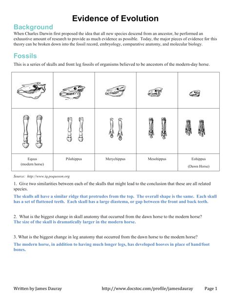 Evidence of Evolution Worksheet with Answers Exercises Evolutionary