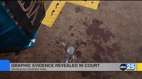 Evidence revealed through testimony in Klein trial