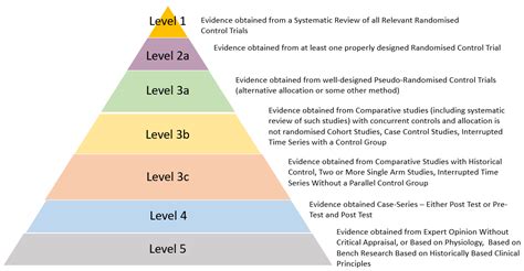 Read Evidencebased Writing Grade 3 By Nancy R Bosse