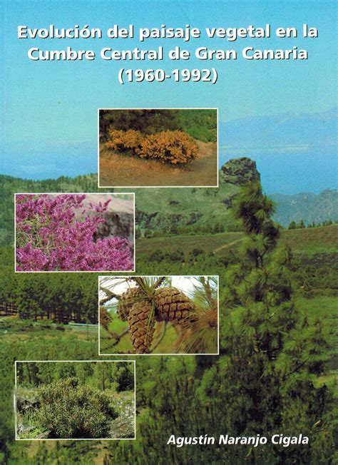 Evolución del paisaje vegetal en la cumbre central de gran canaria, 1960 1992. - When i m a daddy a little boy s guide.