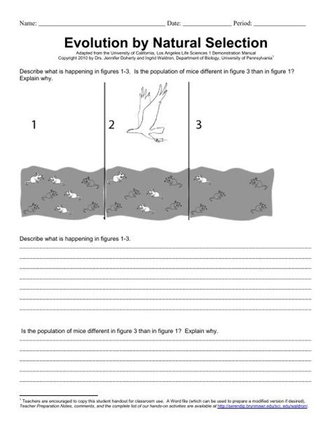 Evolution Evolution By Natural Selection Worksheet