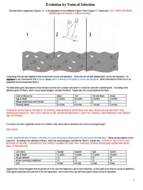 Evolution Natural Selection And Speciation Answers Key Pdf