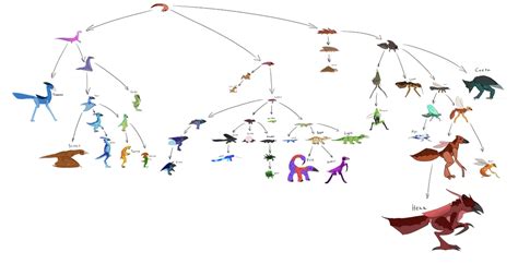 Evolution Tree  Wiki. 