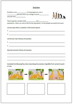 Evolution Video worksheet