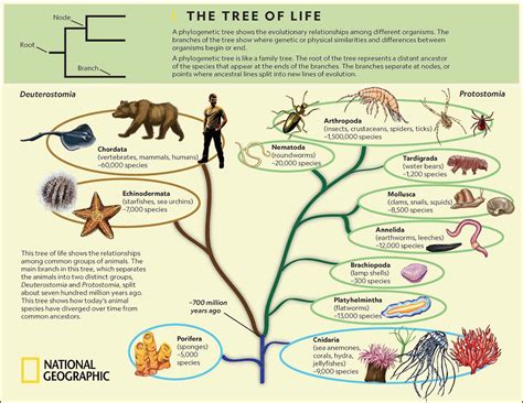 Evolution degree. Things To Know About Evolution degree. 