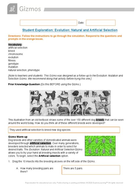 Download Evolution Natural And Artificial Selection Asnwer Key Google Vol 0 5 7th For Kindle Free Regulatory Compliance And Safety Information Manual