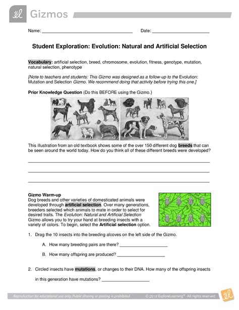 Evolution natural and artificial selection gizmo. Gizmo Warm-up Dog breeds and other varieties of domesticated animals were developed through artificial selection. Over many generations, breeders selected which animals to mate in order to select for desired traits. The Evolution: Natural and Artificial Selection Gizmo allows you to try your hand at breeding insects with a variety of colors. 