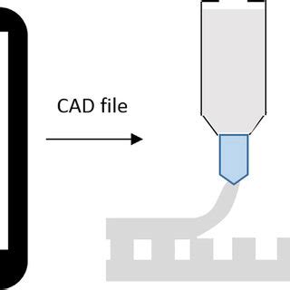 codini.rgarabwor.edu.pl. 