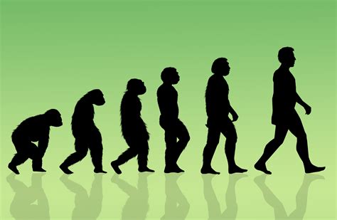 Evolution of science. 2. Does evolution proceed toward increasing complexity? 3. If fish became amphibians through the process of evolution, then why do fish still exist? 4. Could apes ever evolve into some other ... 