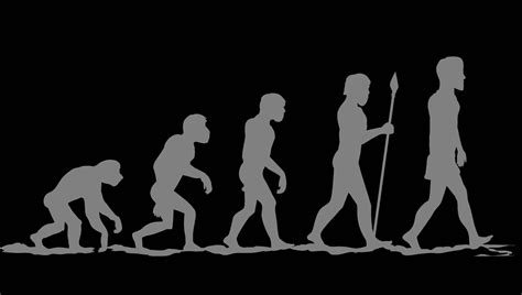 Evolution is the theory that all the kinds of living things that exist today developed from earlier types. The differences between them resulted from changes that happened over many years. The simplest forms of life arose at least 3.5 billion years ago. Over time they evolved into the millions of species, or types, of living things alive today.. 