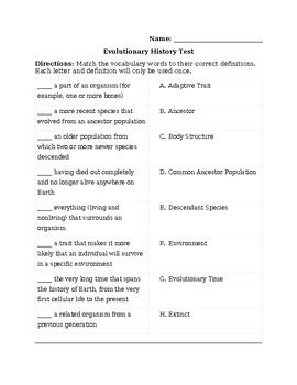 Evolutionary Puzzle Answer Terms Key