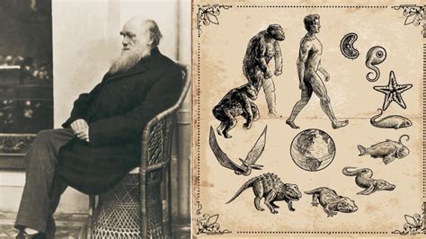 Evolutionsteorin