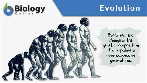 Evolve - Definition, Meaning & Synonyms Vocabulary.com