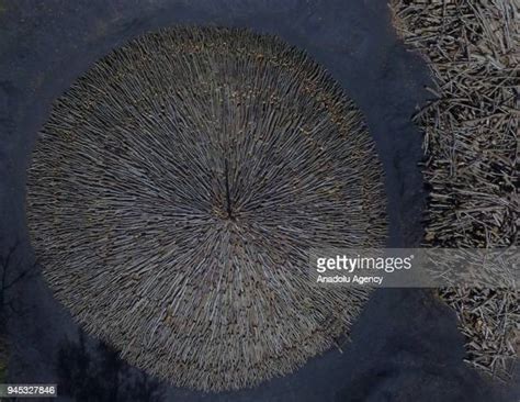 Evrencik Halı ve Koltuk Yıkama