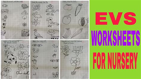 Evs Class Nursery