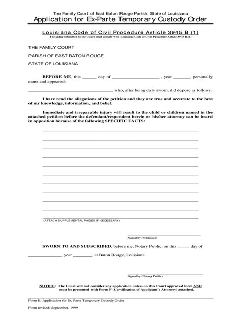 Ex Parte Custody Form Fill Out and Sign Printable PDF Template signNow