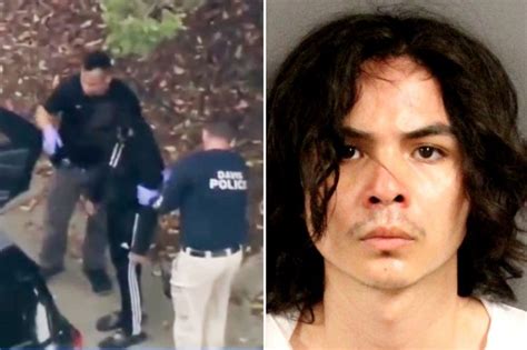 Ex-UC Davis student arrested as suspect in stabbings