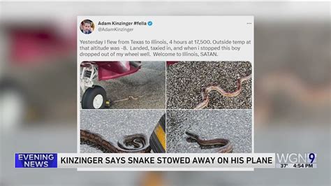 Ex-congressman says snake hitched ride on his plane from Texas to Illinois