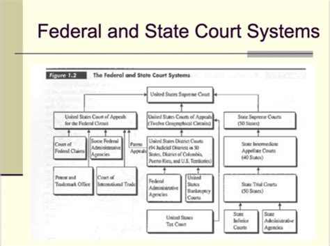 Exam 3 - Chapter 9, Legal System and Courts Flashcards Quizlet