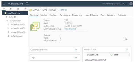 Exam Dumps D-VXR-OE-01 Zip