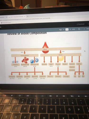 Exam Review for Chapter 12: Blood Flashcards Quizlet