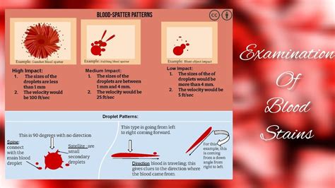 Examination of blood stains. .  ...
