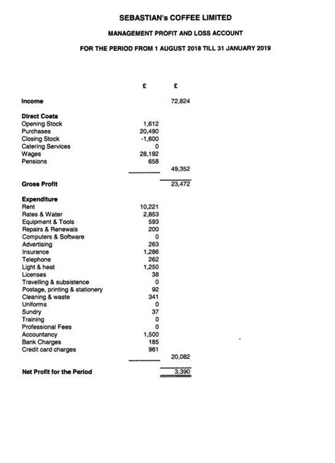 Example Pl And Balance Sheet Financial Statement Alayneabrahams