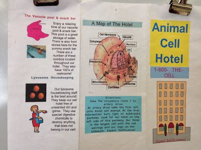 Free Microsoft Powerpoint Brochure Template