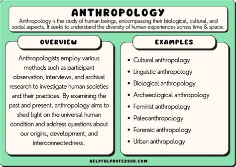 Example of anthropology