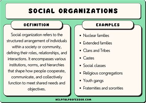 Example of social organization. Answer and Explanation: 1. An organization is a social system where a group of people comes together in pursuit of defined objectives. One of the salient features of organizations is the division of labor. The division of labor is directed towards realizing an organization's objectives. Legally, there are various organizations, including NGOs ... 