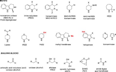 Example structures and strategic application of enzyme classes that