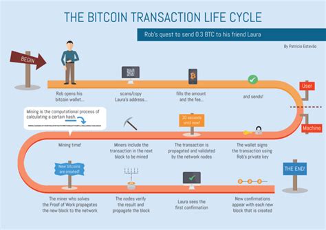 Examples of Bitcoin Use in Everyday Transactions