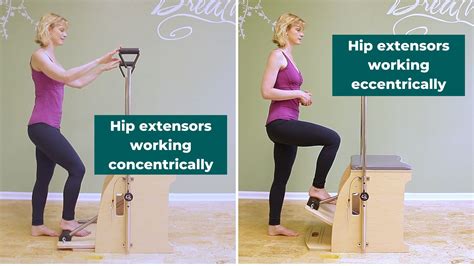 Examples of Eccentric Contractions in Pilates