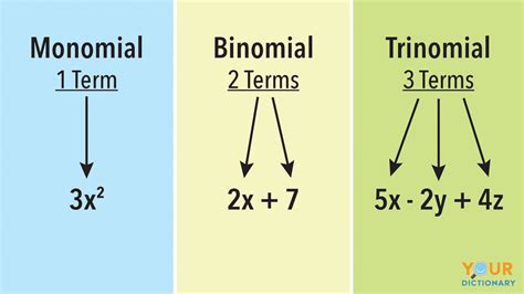 Examples of Monomials and Polynomials YourDictionary