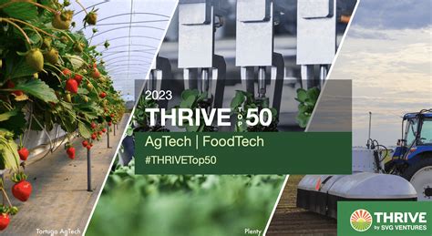 Examples of Successful AgTech Ventures