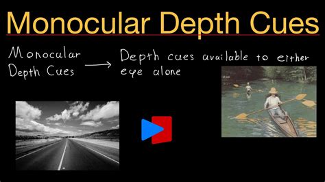 Examples of monocular depth cues. 7 monocular cues to distance: Interposition. Monocular cue also known as occlusion. Interposition. Monocular cue that states closer objects partially block the view of more distant objects. partially block the view of more distant objects. Interposition states that closer objects: complete, recognize. 