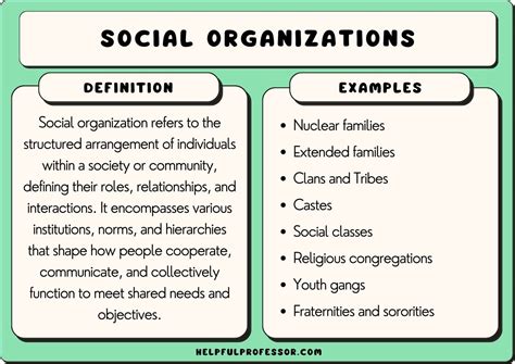 Examples of social organizations. The definition of civil society with examples. Civil society is the political sphere that is independent of government and business. Family is usually excluded from civil society. As such society has four major structural components -- government, business, civil society and family. The following entities are commonly considered part of civil society. 