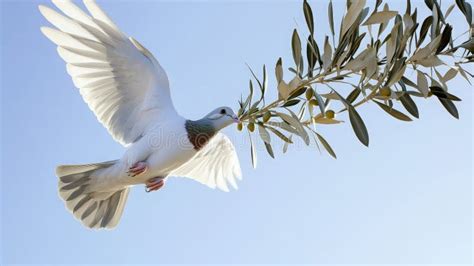 Examples of symbolism.  In religious contexts, a dove carrying an olive b...