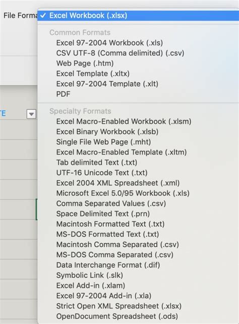 Excel File Extensions XLSX XLSM XLS XLTX and XLTM
